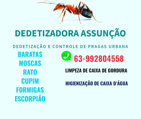 Dedetizadora Assunção